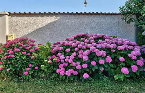 Chez Patricia en Beaujolais - Foto 34