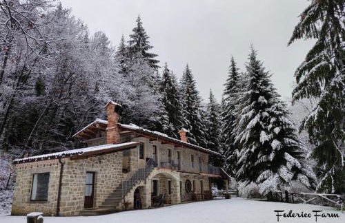 La Casa del Sarto - FedericoFarm - Foto 17