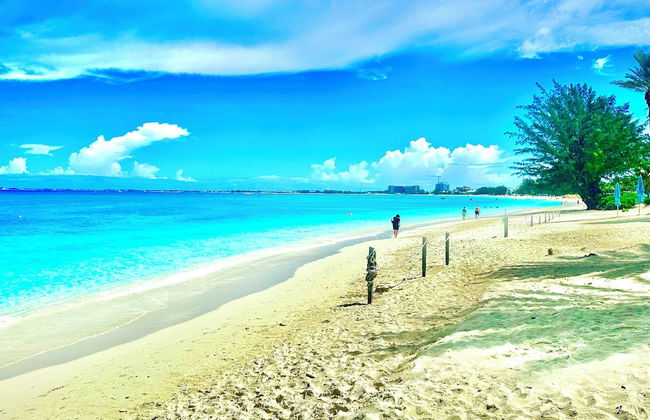 The Grove - Photo 64