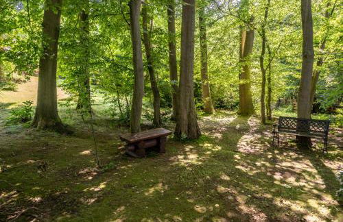 Apartment am Bullerbach Deister - Foto 24