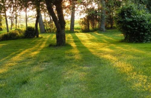 Apartment Altes Pastorenhus by Interhome - Foto 21