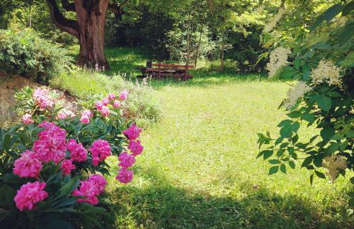 Villa Bornstein - Photo 27