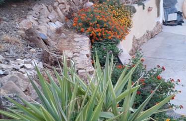 Sa Corte Antiga - Foto 32