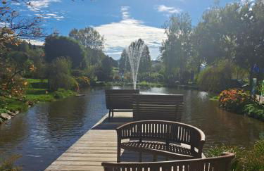 Sternenacht - Foto 32