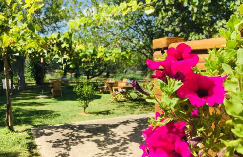 Az. Agr. Parco dei Buoi - Foto 9