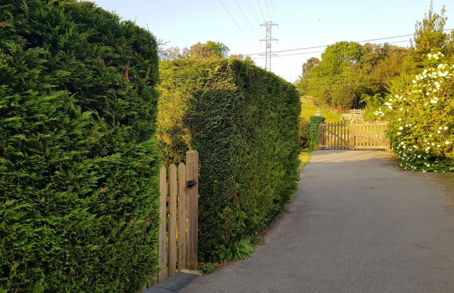 Mirando Al Cuera - Photo 37