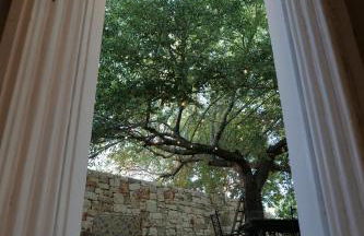 Trulli Donna Gina - Foto 19