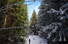 Gasthaus Piesau - Thüringer Wald - Rennsteig - Foto 75