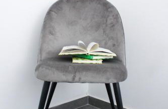 Fly in Apartment - Photo 4