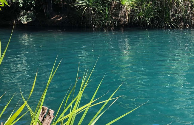 Tagatiyá Creek Day Trip - Foto 1