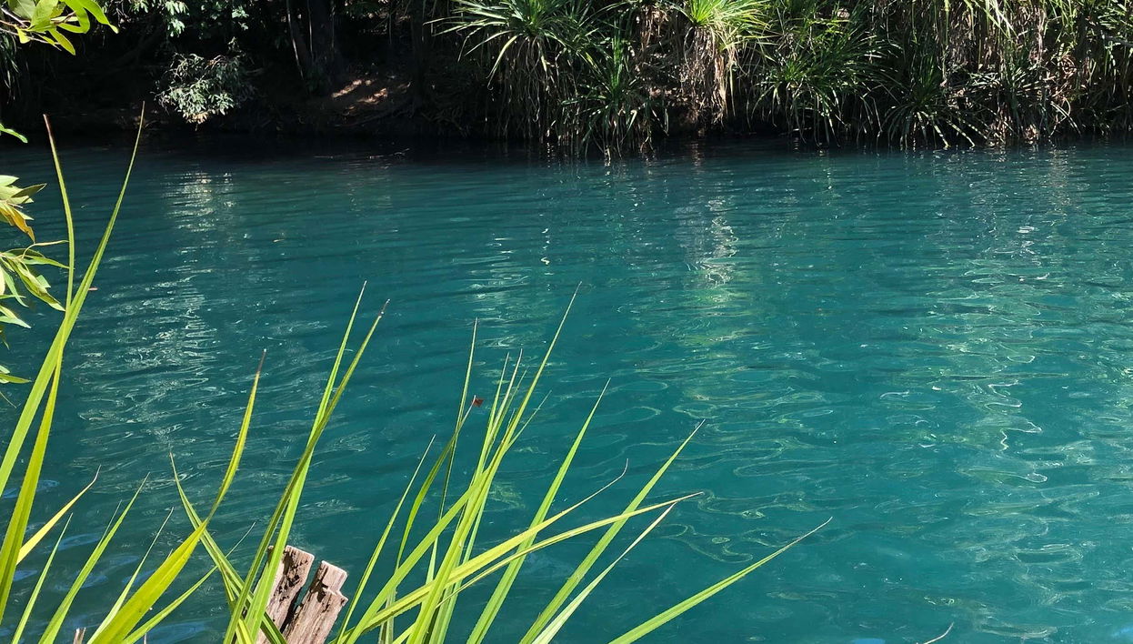 Excursion à la rivière Tagatiyá - Photo 1, Excursion à la rivière Tagatiyá