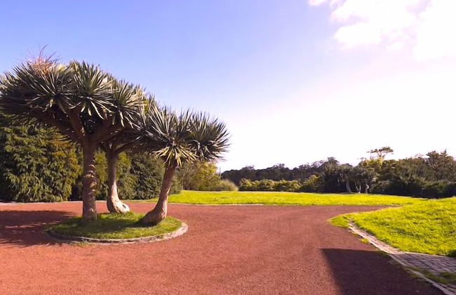 Gala Da Vittoria - Foto 26