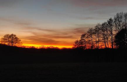 Küstenblüte - Foto 28