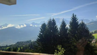 AP-37 La Grande Cordée Combloux - Foto 3, Garden