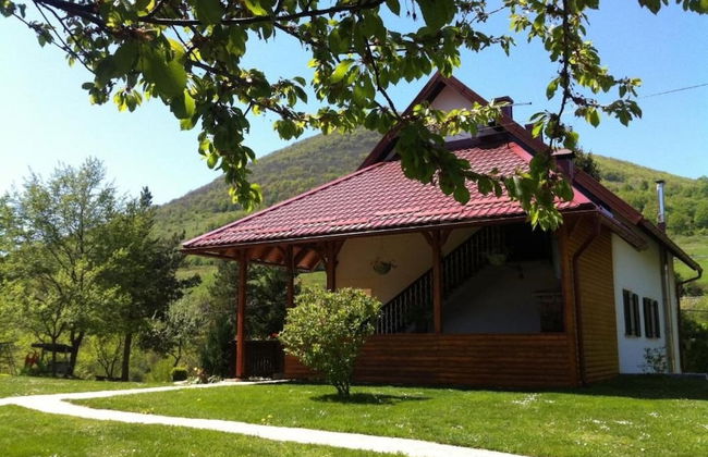 Dalija - Beautiful Nature and View - SA2 - Foto 22