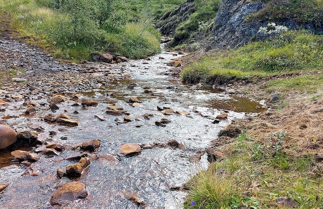 Ásgeirsstaðir Cottages - Foto 51