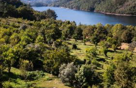 Quinta do Assento - Foto 29