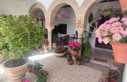 El patio de Regina - Foto 24