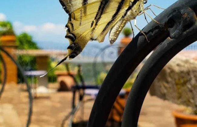 Etna Panoramic Villa With Swimming Pool - Foto 27