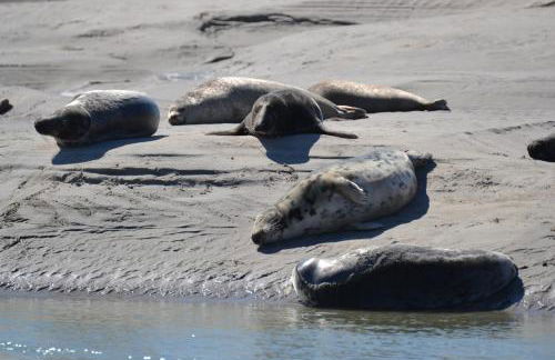 La Maison Rose - Foto 33