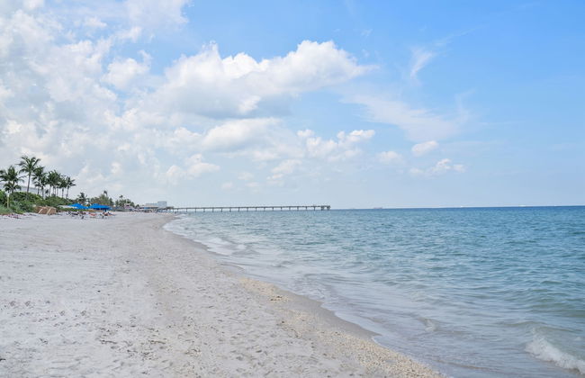 Walnut By The Sea - Photo 1