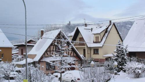 Garte Hiesel la maison de jardin Piscine été 2026 - Foto 4