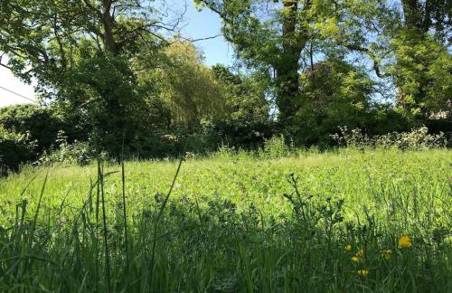 Priory Meadow Cottage - Foto 63