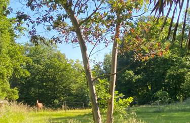 Charmant chalet - Foto 11