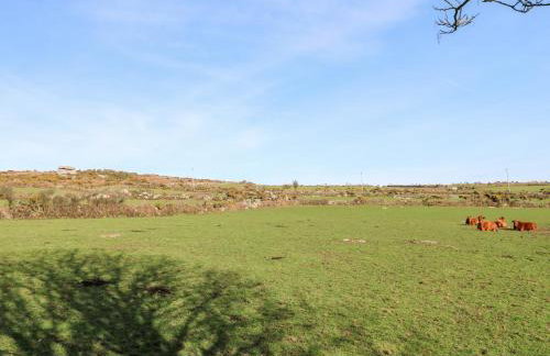 Bosworlas Farm House - Foto 32