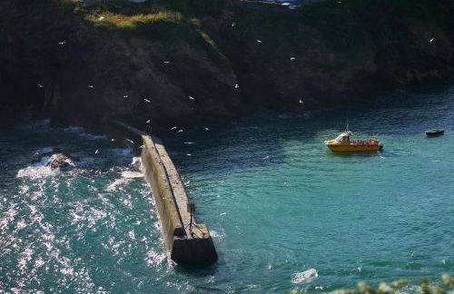 Kittiwake Cottage - Charming harbour-side cottage, luxury interiors - Foto 28