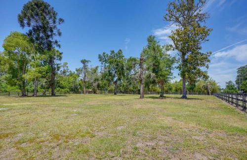 Pool Table, Fire Pit Spacious Home in Dover! - Foto 28