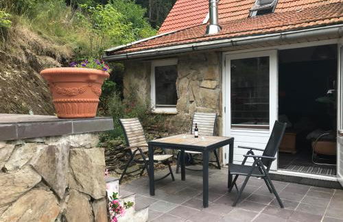 FeWo PacoHaus nähe Willingen Diemelsee - Foto 7