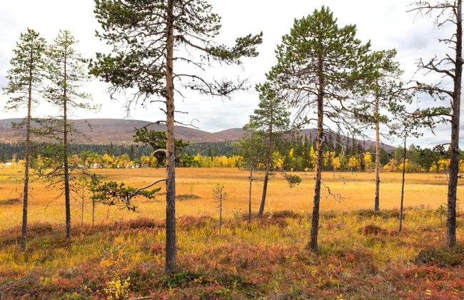 Villa taiga - Foto 29