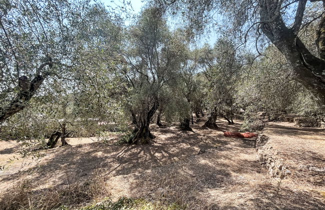 Casa Simona (DOL134) - Foto 21