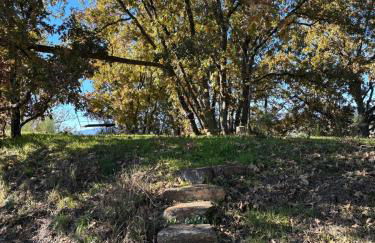 Casa Cabeço do Barragão - Photo 28