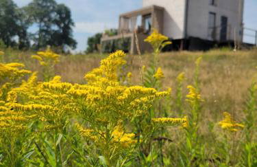 Dzika Warmia- Retreat in the Wild - Foto 24