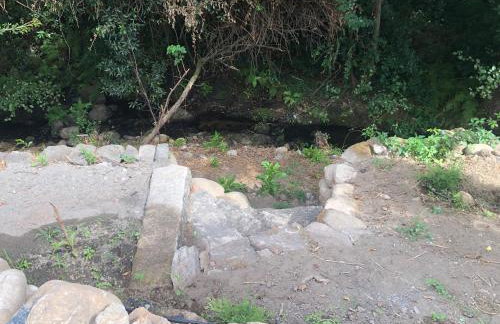 Quinta do Codeçal - Foto 31