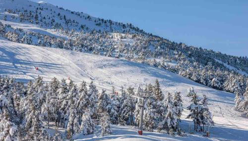 Greolières: Superbe Studio avec vue montagne - Foto 4