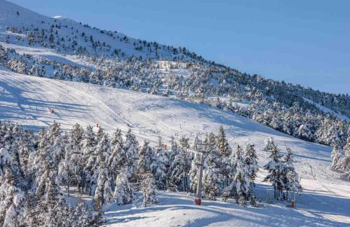 Greolières: Superbe Studio avec vue montagne - Foto 4