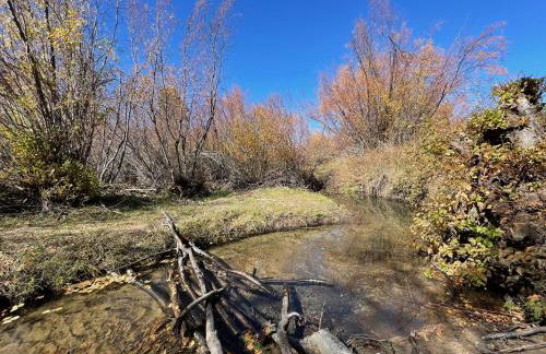 Tiny Creek Retreat - Foto 80