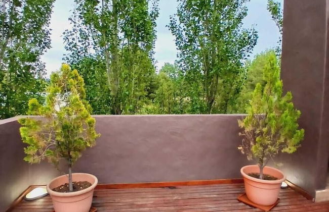 La Divina Pereza Eco - Foto 60