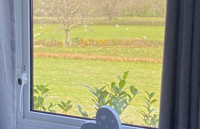 A Beautiful, Unique Lodge, Made for two - Photo 26