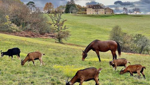 Domaine de Cazal - Gîte 2 pers avec piscine au cœur de 26 hectares de nature préservée - Foto 2