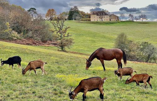Domaine de Cazal - Gîte 2 pers avec piscine au cœur de 26 hectares de nature préservée - Foto 2