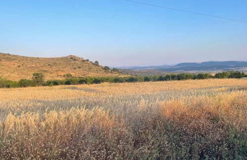 La casica de Pacone, Los Odres - Foto 17