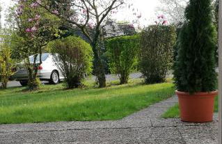Bonsai-Apartment III An der Hufeland Therme - Foto 23
