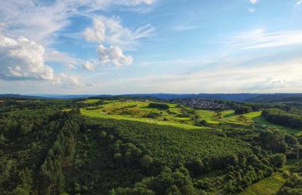 Haus Madle - Foto 25