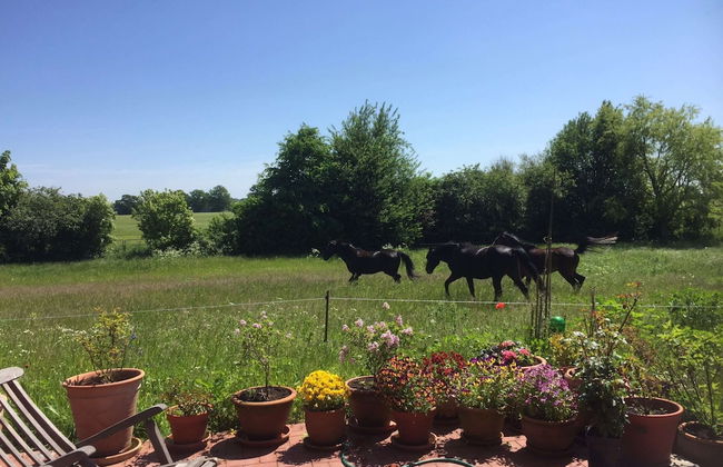 Wohnung in Semlow mit Garten und Terrasse - Foto 23