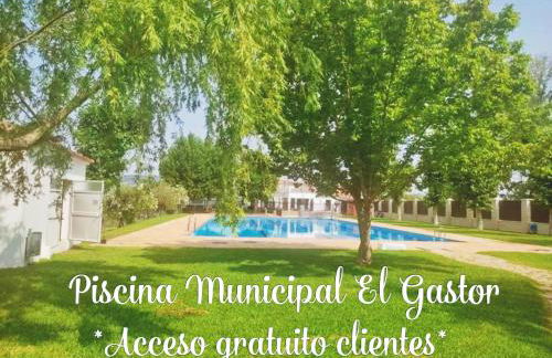 La Madroñala - Foto 3