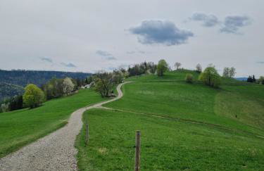 Domki U Uli - Foto 35